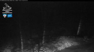 Blick Talaufwärts 2 2025-12-01 05:00