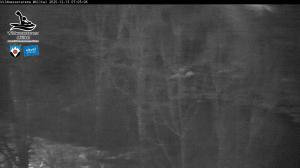 Blick Talaufwärts 2 2025-12-13 07:00