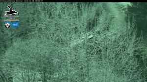 Blick Talaufwärts 2 2025-12-24 08:00