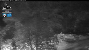 Blick Talaufwärts 2 2026-01-28 00:00