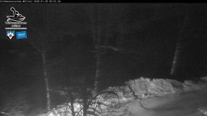 Blick Talaufwärts 2 2026-01-29 00:00