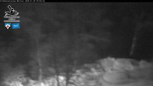 Blick Talaufwärts 2 2026-01-29 05:00