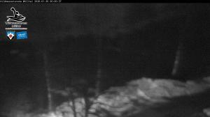 Blick Talaufwärts 2 2026-01-30 00:00