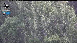 Blick Talaufwärts 2 2026-06-27 06:00