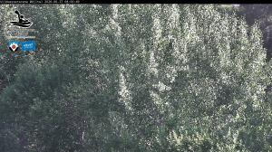 Blick Talaufwärts 2 2026-06-27 08:00