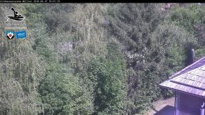Blick Talaufwärts 2 2026-06-27 16:00