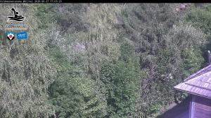 Blick Talaufwärts 2 2026-06-27 17:00