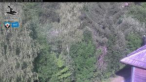 Blick Talaufwärts 2 2026-06-27 18:00