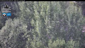 Blick Talaufwärts 2 2026-06-27 20:00