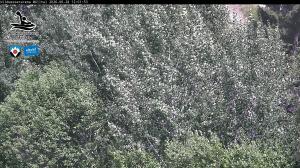 Blick Talaufwärts 2 2026-06-28 12:00