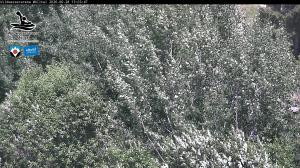 Blick Talaufwärts 2 2026-06-28 13:00