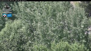 Blick Talaufwärts 2 2026-06-28 15:00