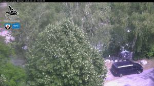 Blick Talaufwärts 2 2026-06-28 15:00