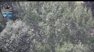 Blick Talaufwärts 2 2026-06-28 16:00