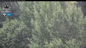 Blick Talaufwärts 2 2026-06-28 17:00
