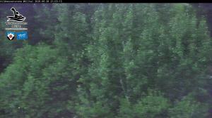 Blick Talaufwärts 2 2026-06-28 21:00