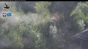 Blick Talaufwärts 2 2026-06-29 08:00