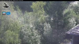 Blick Talaufwärts 2 2026-06-29 10:00