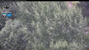 Blick Talaufwärts 2 2026-06-29 15:00