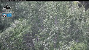 Blick Talaufwärts 2 2026-06-29 16:00